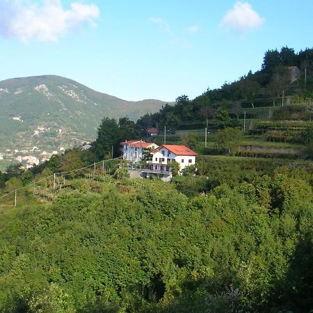 Agriturismo Il Castagno Villa Agerola Buitenkant foto