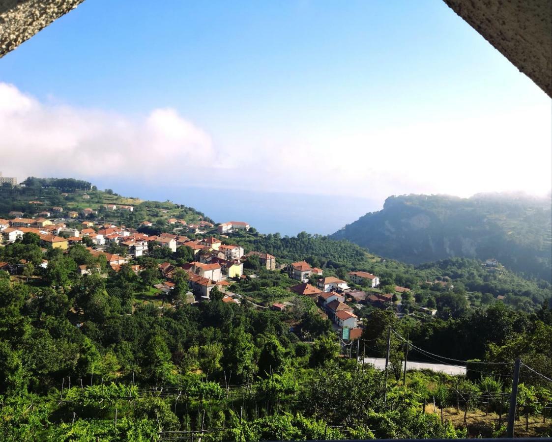 Agriturismo Il Castagno Villa Agerola Buitenkant foto