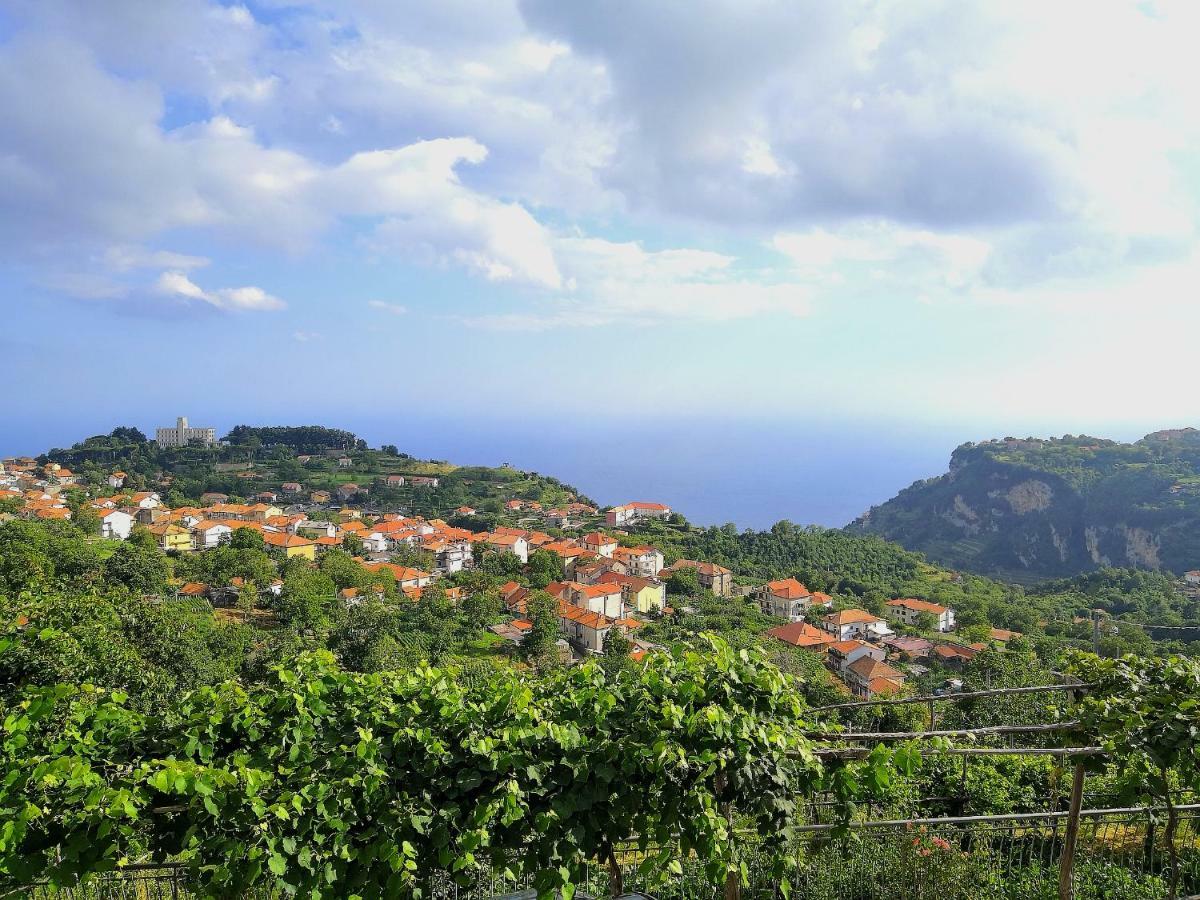 Agriturismo Il Castagno Villa Agerola Buitenkant foto